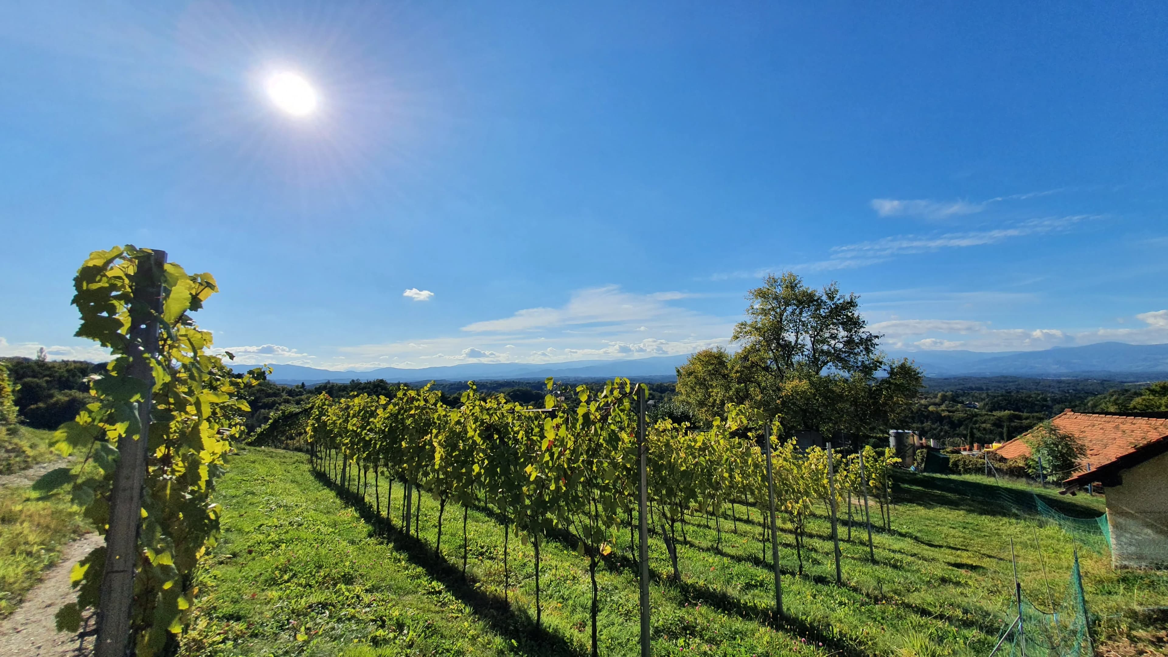 Entdecken Sie die besten Ausflugsziele in der Südsteiermark 3