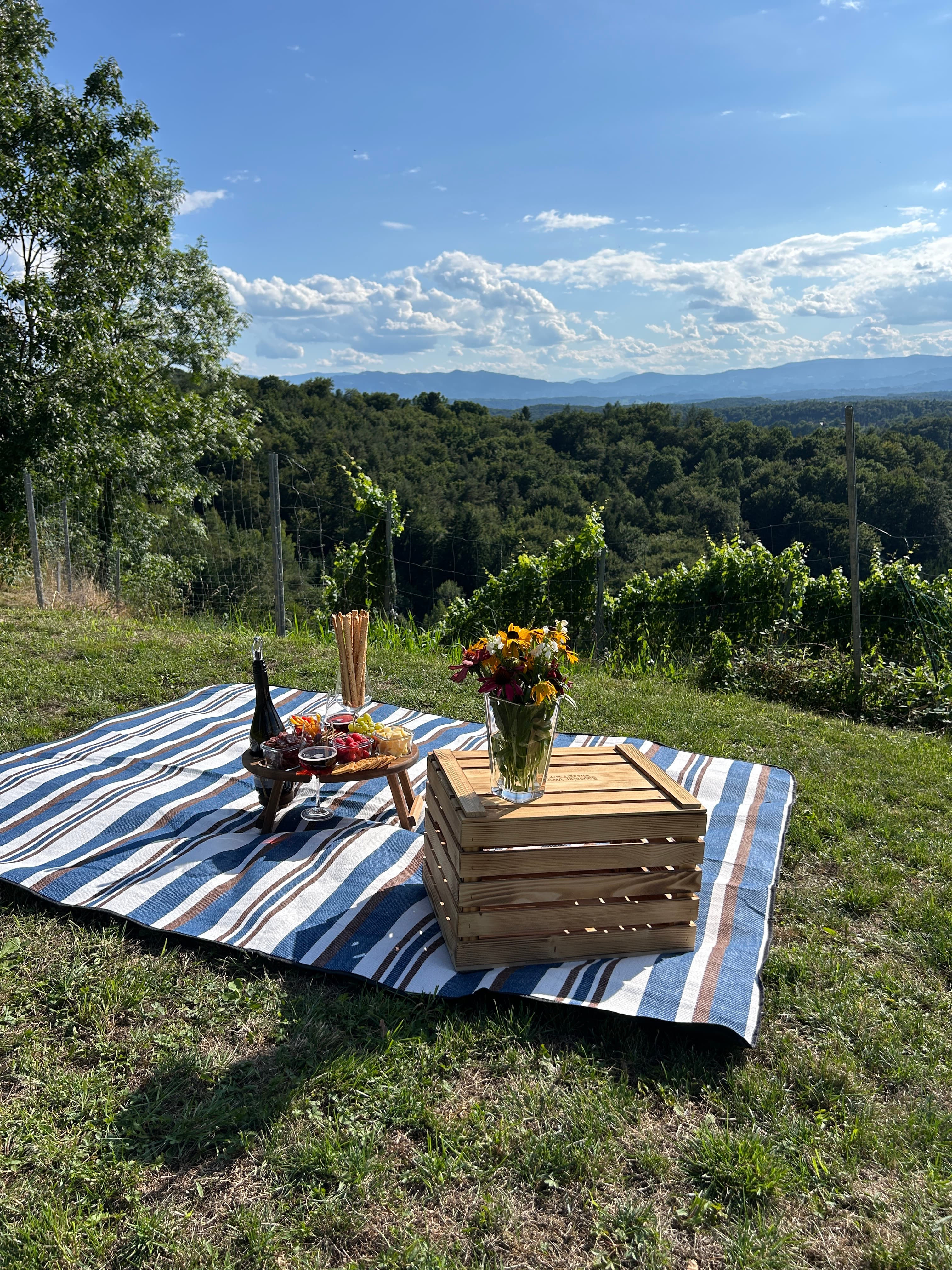 Picknick im Weingarten - Genussurlaub Südsteiermark in den Sausaler-Weinchalets