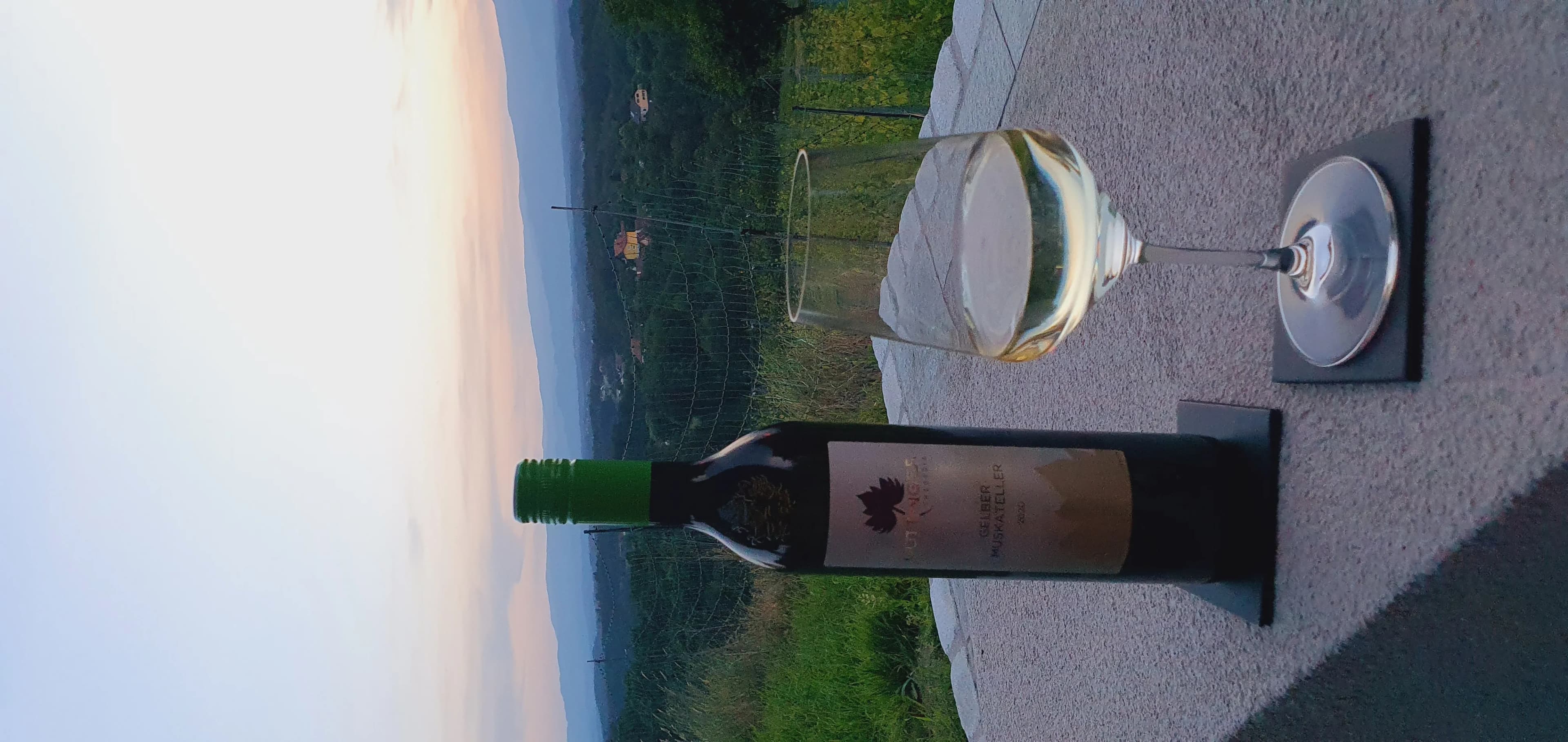 Weinchalet in der Südsteiermark 2