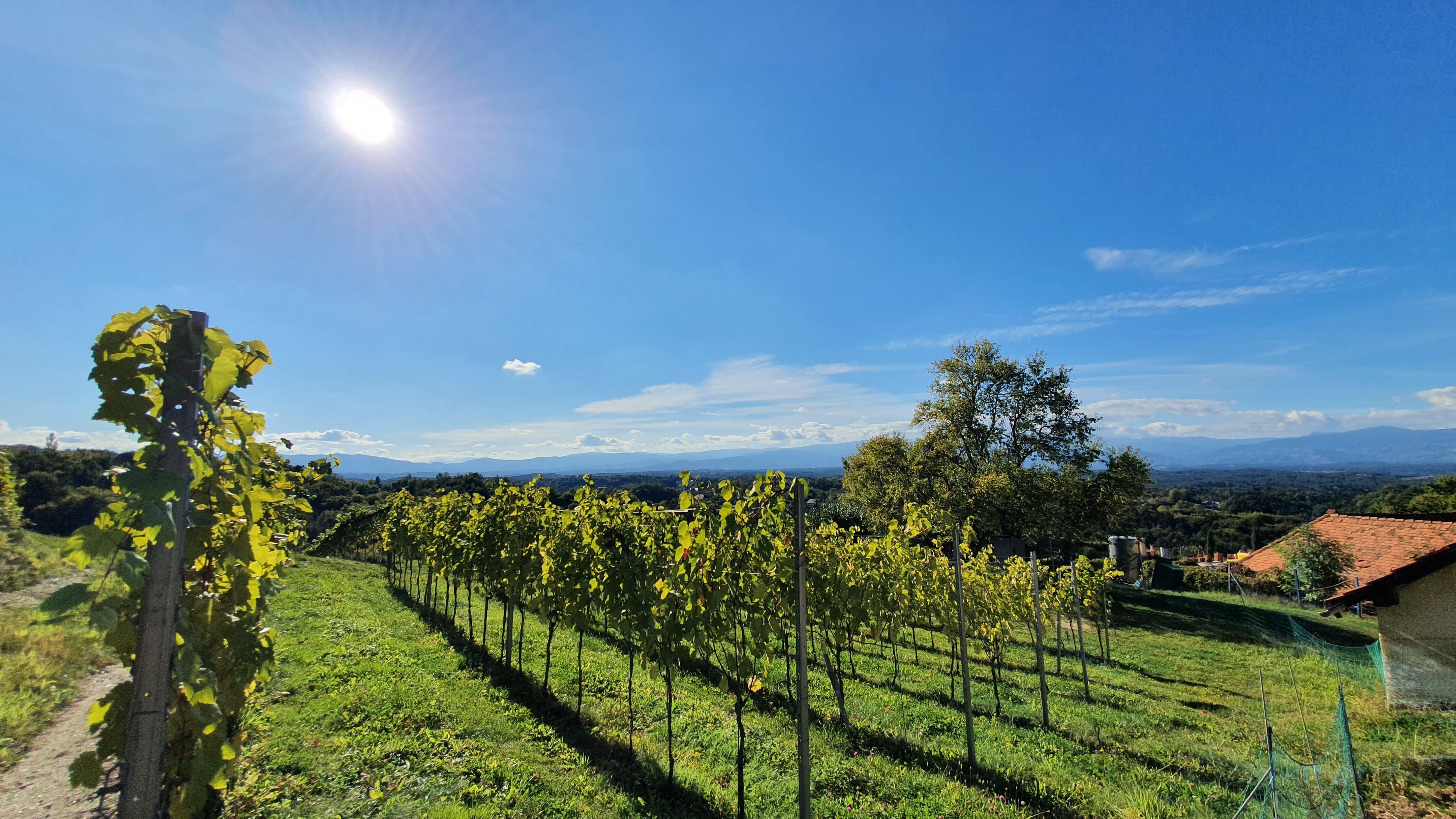Genussreisetips für die Südsteiermark