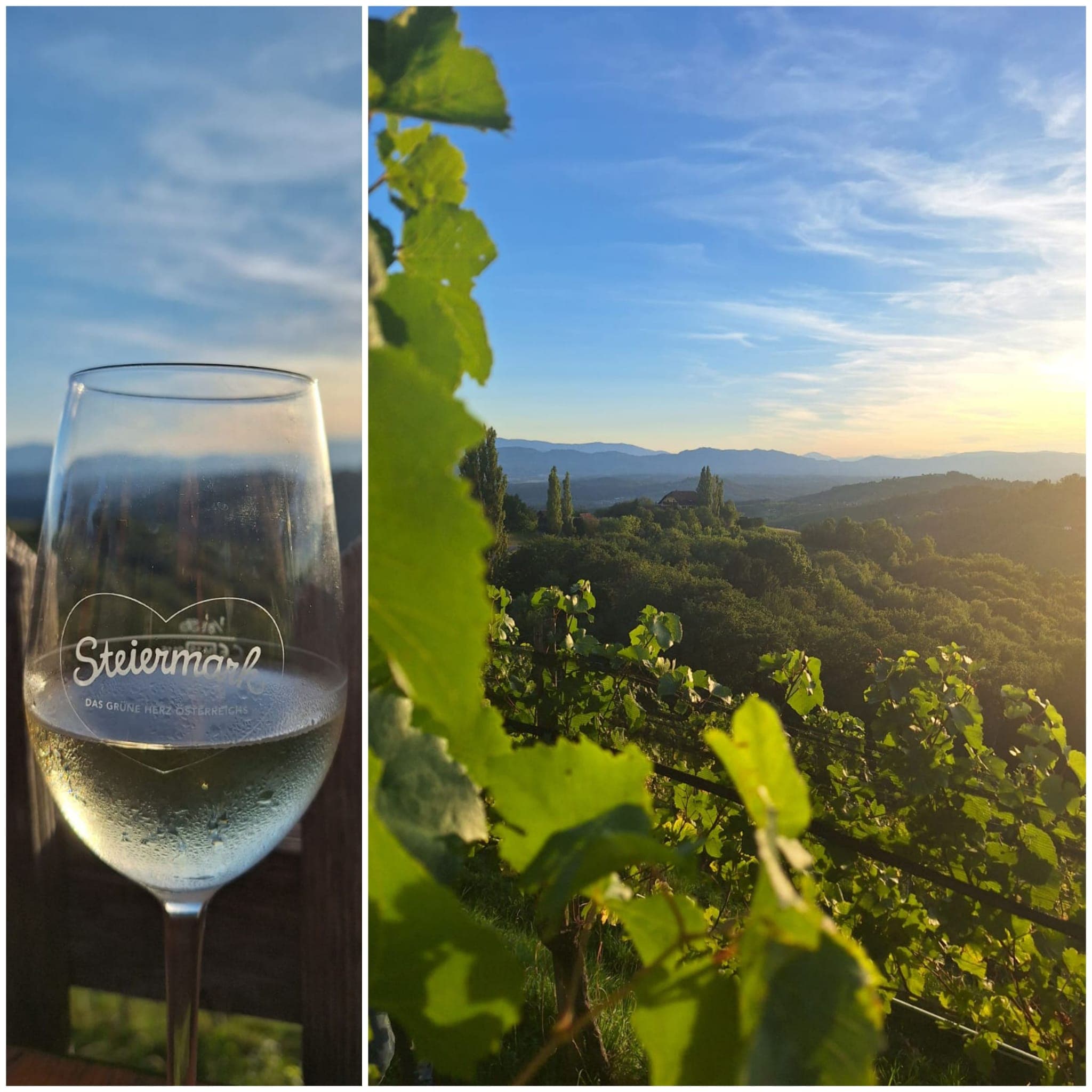 Entdecken Sie die besten Ausflugsziele in der Südsteiermark