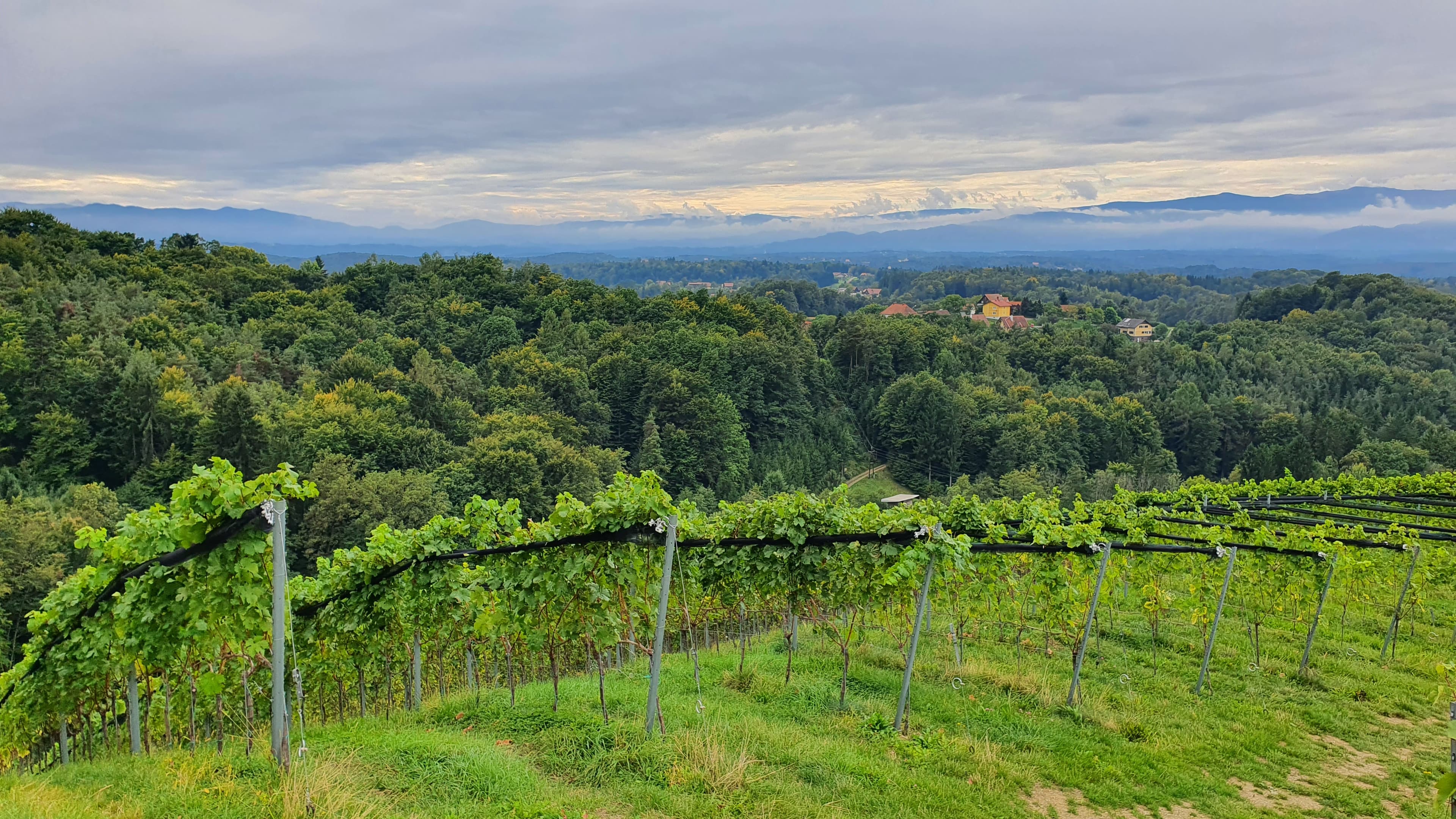 Warum gilt die Südsteirische Weinstraße als eine der schönsten Weinstraßen Europas?