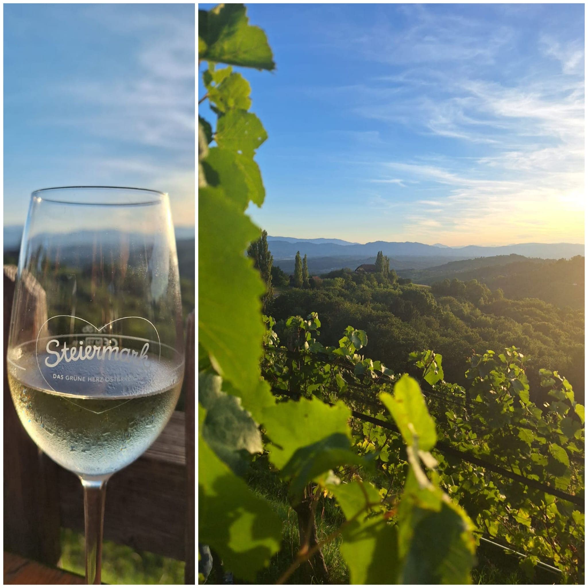 Der erste Wein des Jahres – Südsteiermark erleben | Sausaler Weinchalets