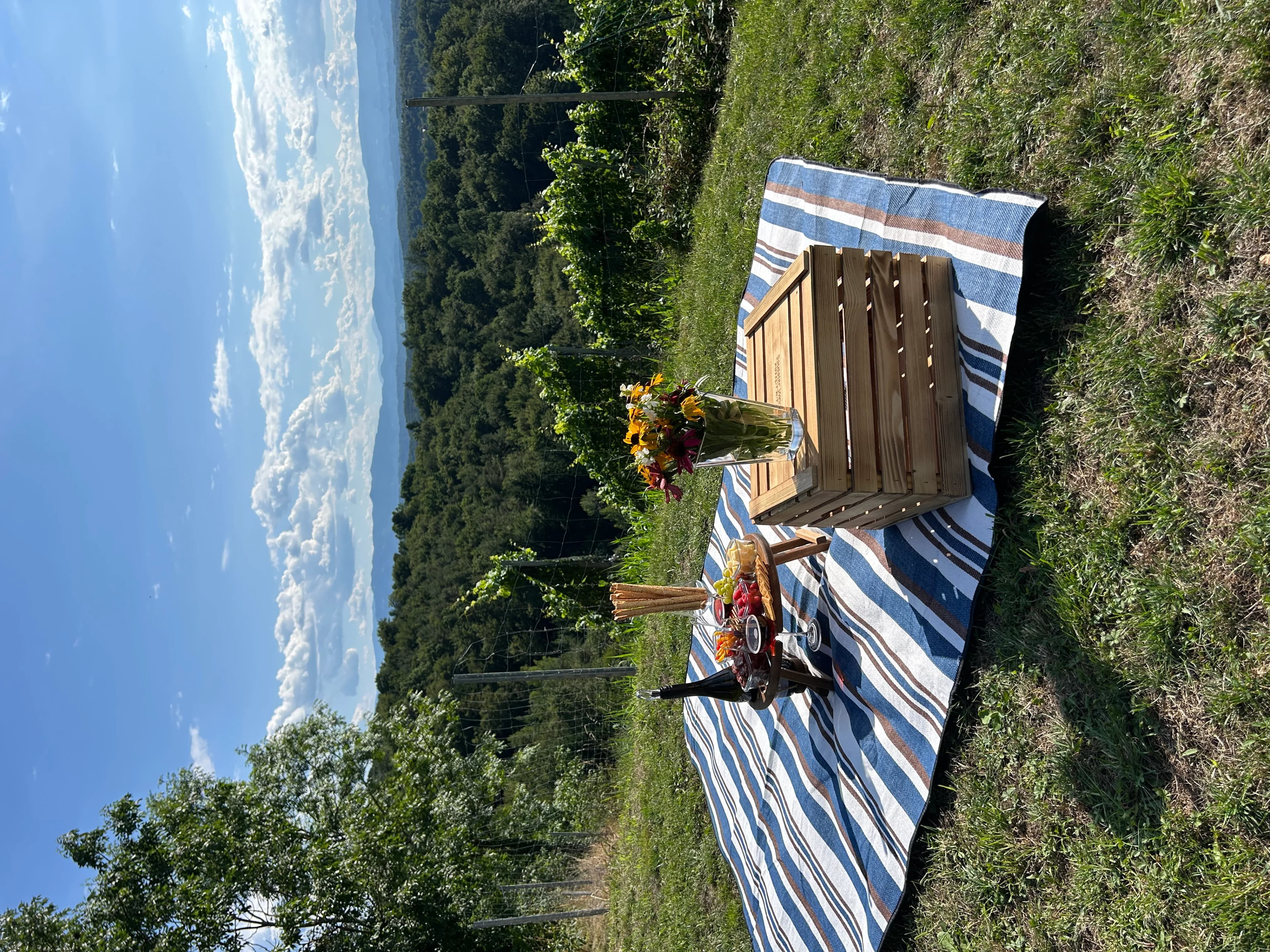 Picknick im Weingarten - Genussurlaub Südsteiermark in den Sausaler-Weinchalets