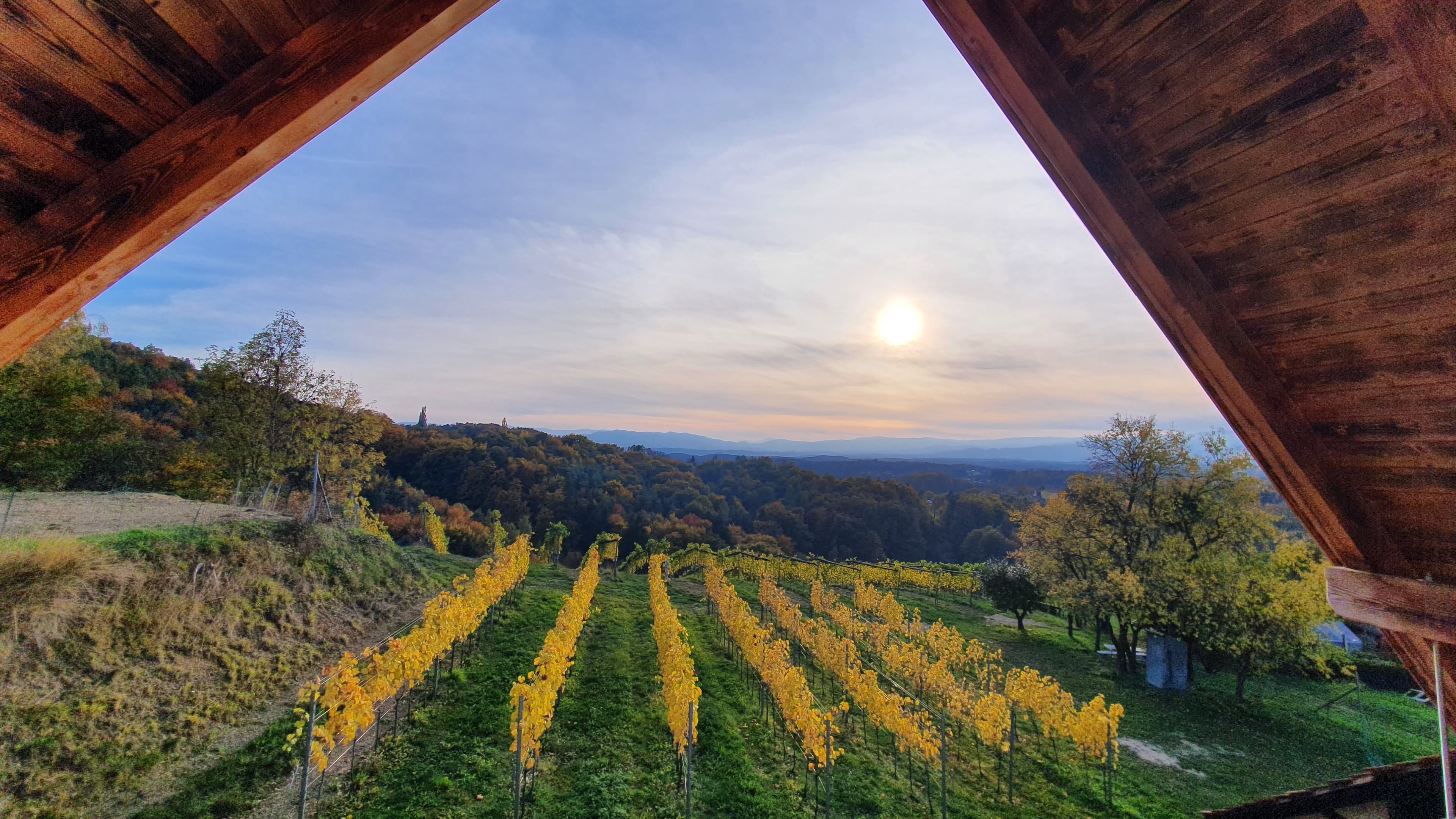 Weinregion Sausal - Weinberge, Komfort Geschmack