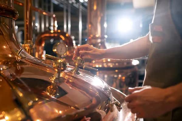 Gin-Erlebnis in der Steiermark – Exklusives Chalet inklusive