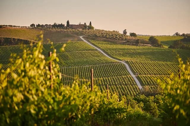 Welche Panoramastraßen gibt es in der Südsteiermark?