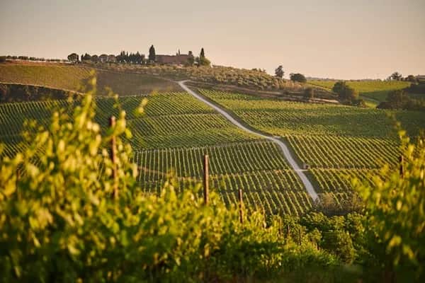 Welche Panoramastraßen gibt es in der Südsteiermark?