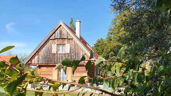 Geschmack der Südsteiermark: Weine, Küche und Kultur