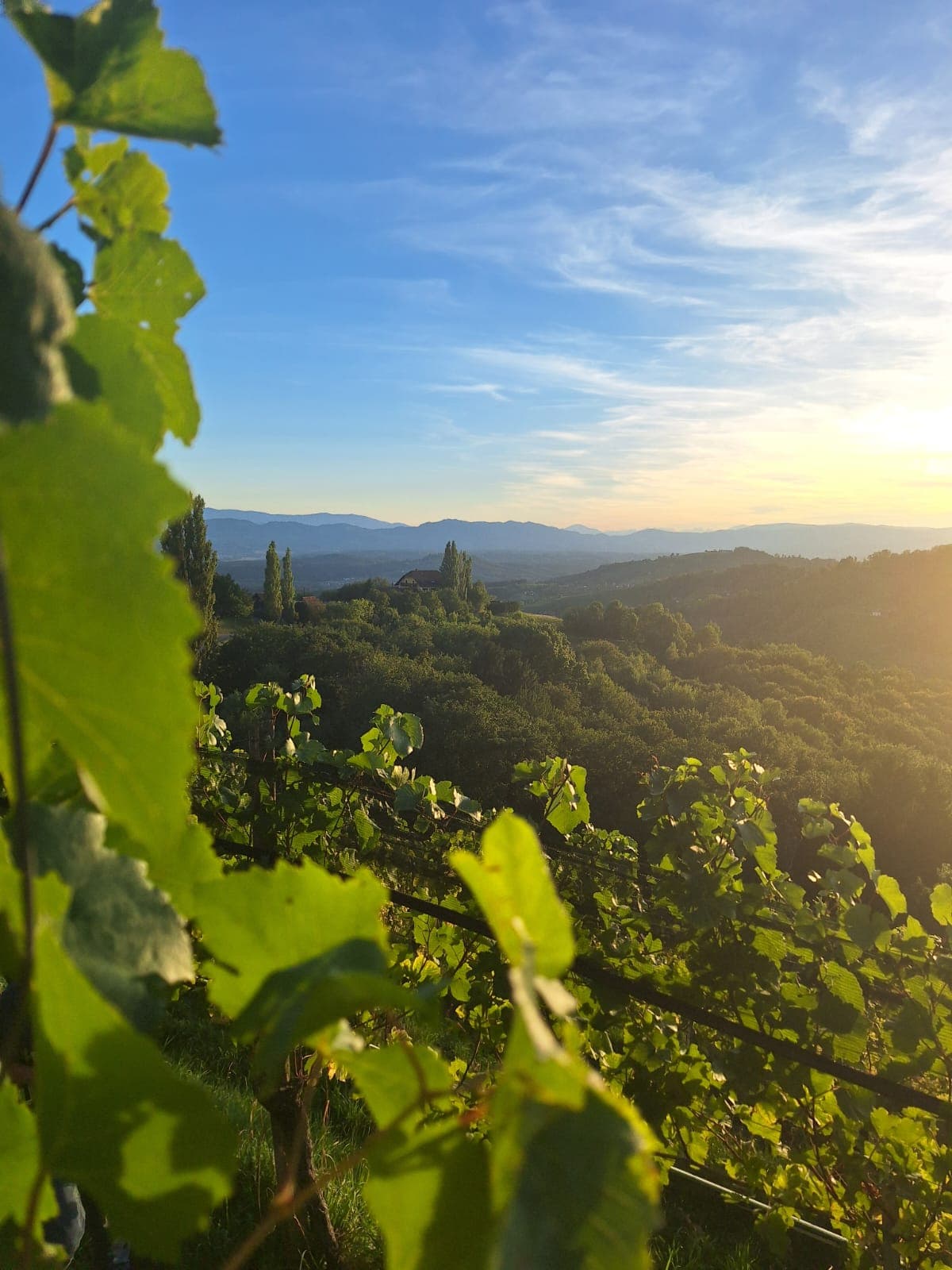 Was kostet ein Weinchalet in der Südsteiermark?